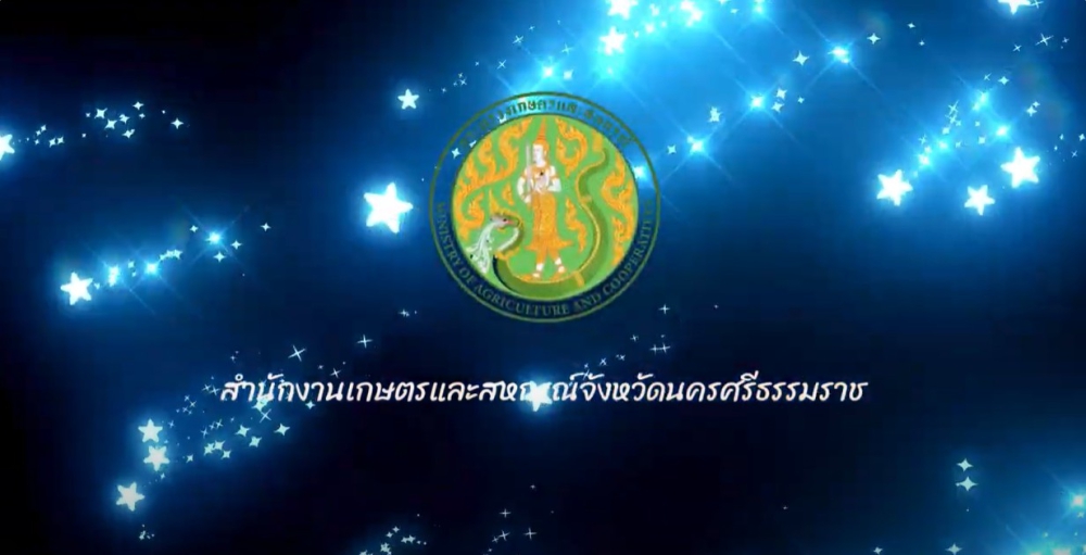 เครื่องแกงสินค้าเกษตรมูลค่าสูง