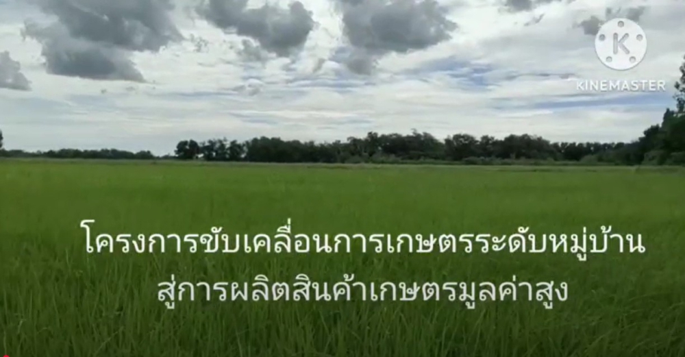 โครงการขับเคลื่อนการเกษตรระดับหมู่บ้านสู่การผลิตสินค้าเกษตรมูลค่าสูง