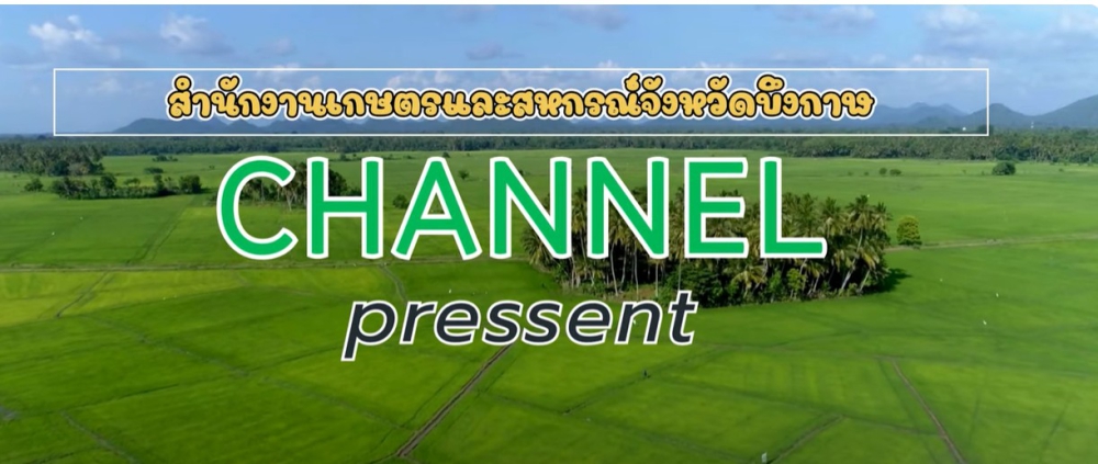 เกษตรมูลค่าสูง ปี 2568 ข้าว อำเภอบึงโขงหลง จังหวัดบึงกาฬ