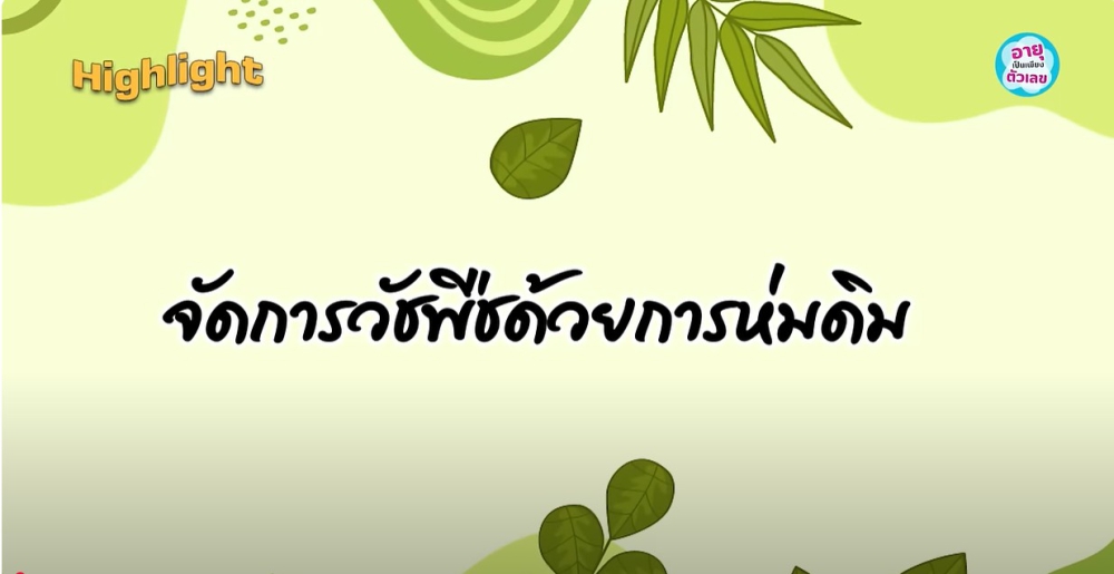 เผยเคล็ดลับจัดการน้ำปรับปรุงดินภายในสวน