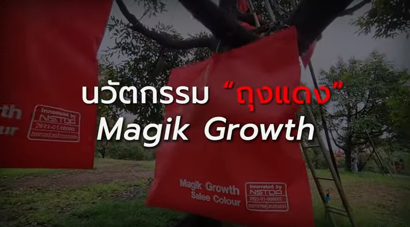‘ทุเรียนปลอดภัย’ทางเลือกใหม่จากการใช้นวัตกรรม