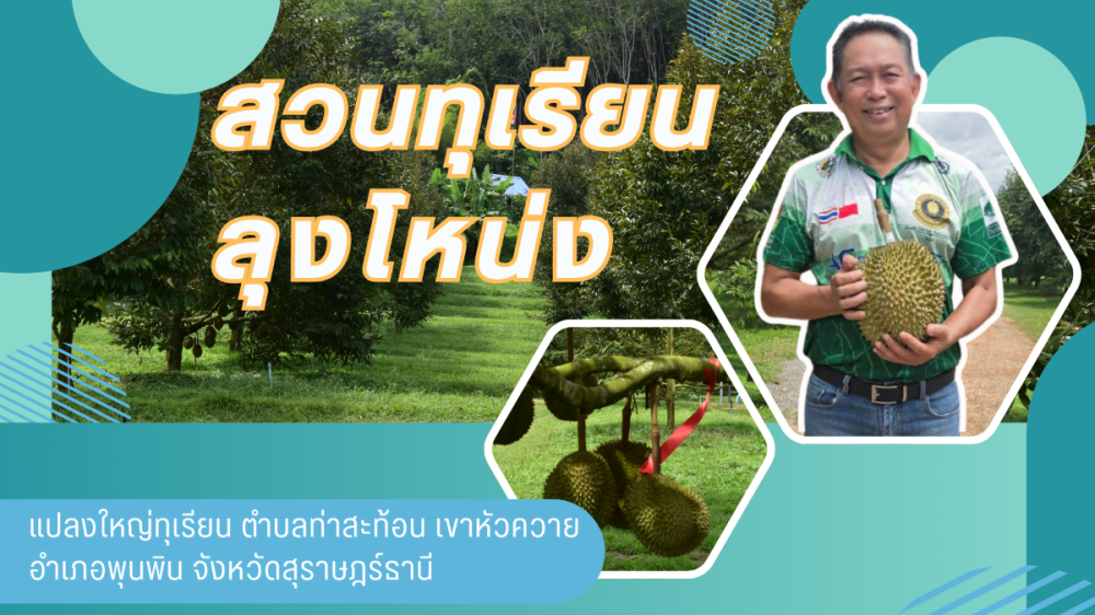 สวนทุเรียนลุงโหน่ง