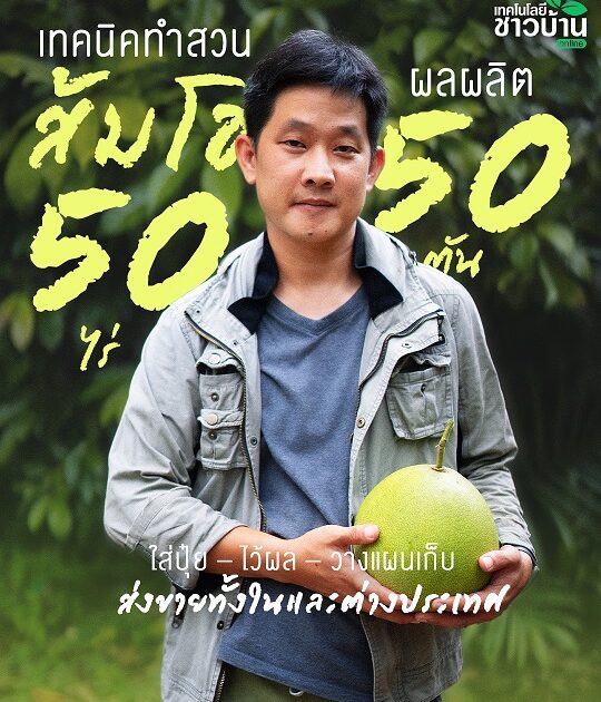 ทำสวนส้มโอ50ไร่ใส่ปุ๋ย–ไว้ผล–วางแผนเก็บ