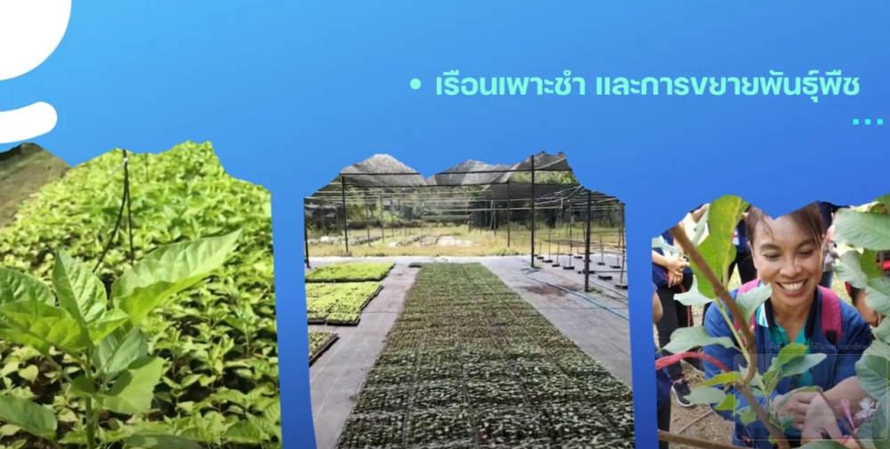 ศูนย์ส่งเสริมและพัฒนาอาชีพการเกษตรจังหวัดสุราษฎร์ธานี