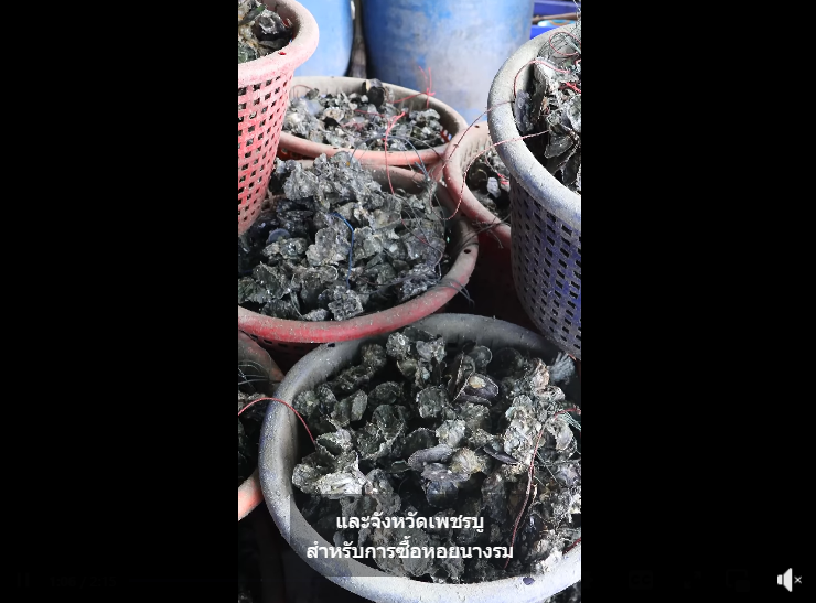 แกะหอยนางรมสดชุมชนซอยเสถียรวารี