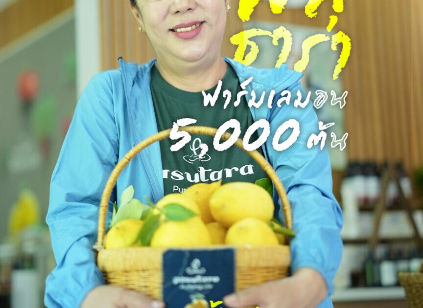 “พสุธารา”ฟาร์มเลมอน5,000ต้นปลูกครั้งเดียว