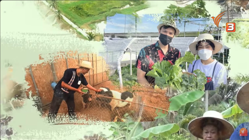 ปรับพื้นที่2ไร่ให้เป็นสวนเกษตรทฤษฎีใหม่อย่างยั่งยืน