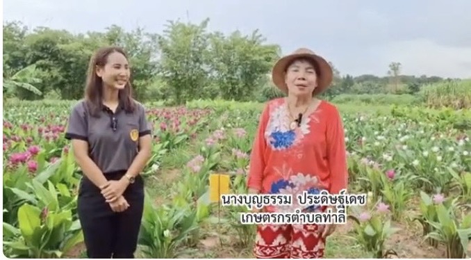 ปทุมมา ราชินีดอกไม้แห่งป่าฝน