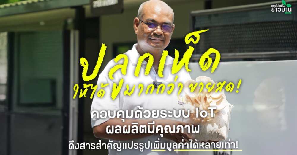 ปลูกเห็ดให้ได้มากกว่าขายสด!