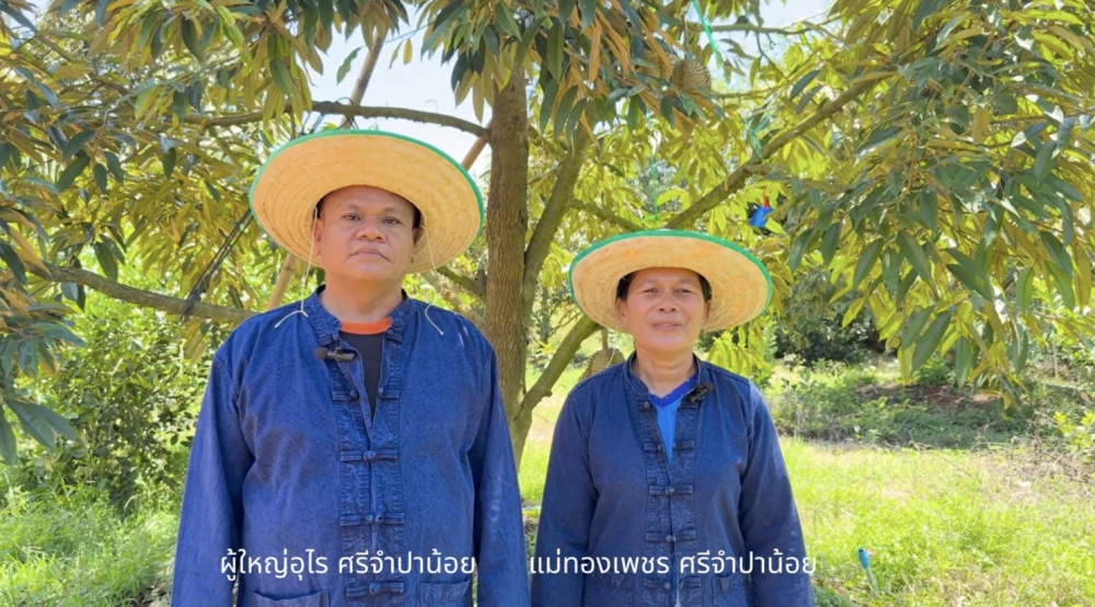 สวนทุเรียนเพชรอุไร