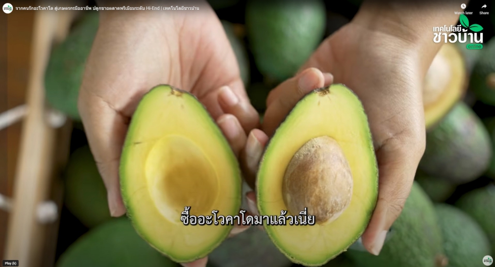 จากคนรักอะโวคาโดสู่เกษตรกรมืออาชีพ