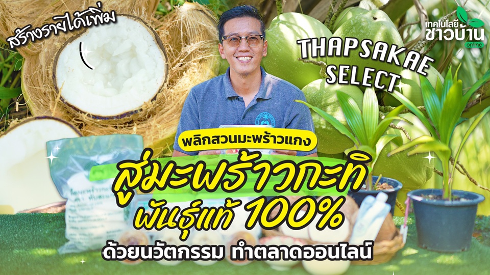 พลิกสวนมะพร้าวแกง