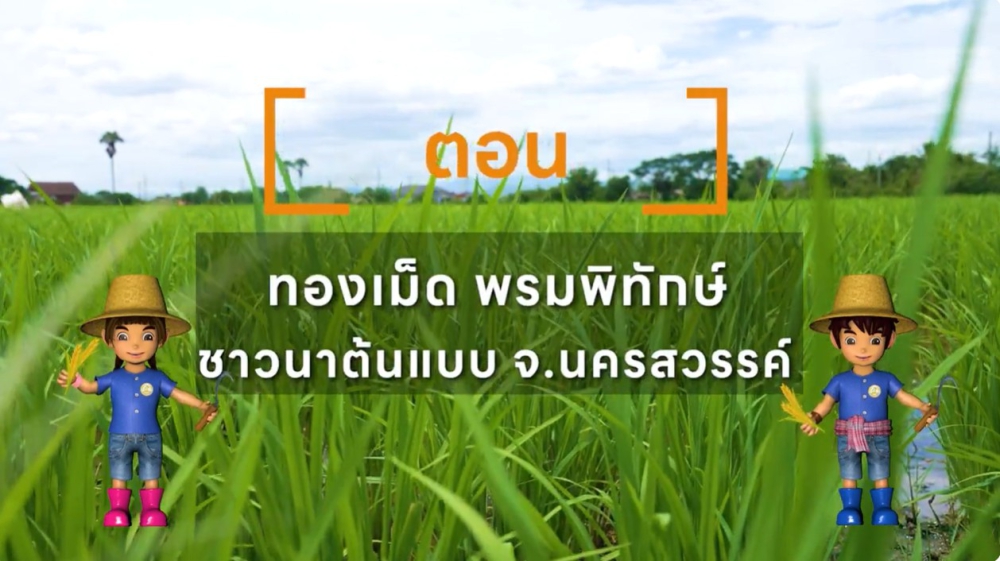 SmartRiceThaiFarmerปี2567นางทองเม็ดพรมพิทักษ์ชาวนาต้นแบบ