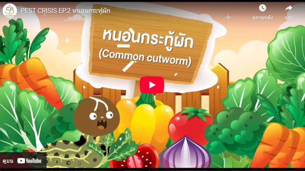 หนอนกระทู้ผัก