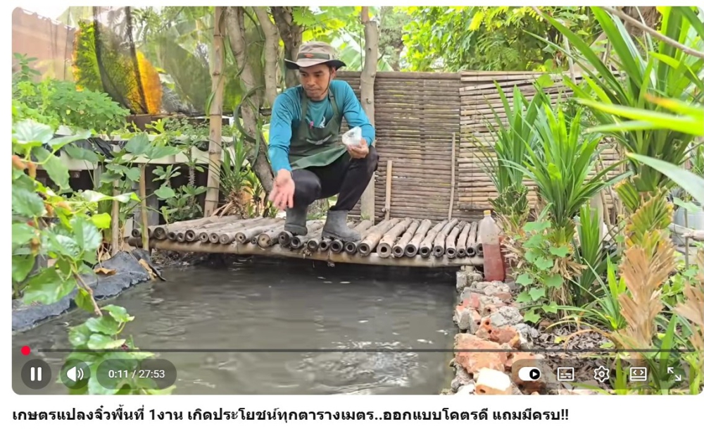 เกษตรแปลงจิ๋วพื้นที่ 1งาน เกิดประโยชน์ทุกตารางเมตร