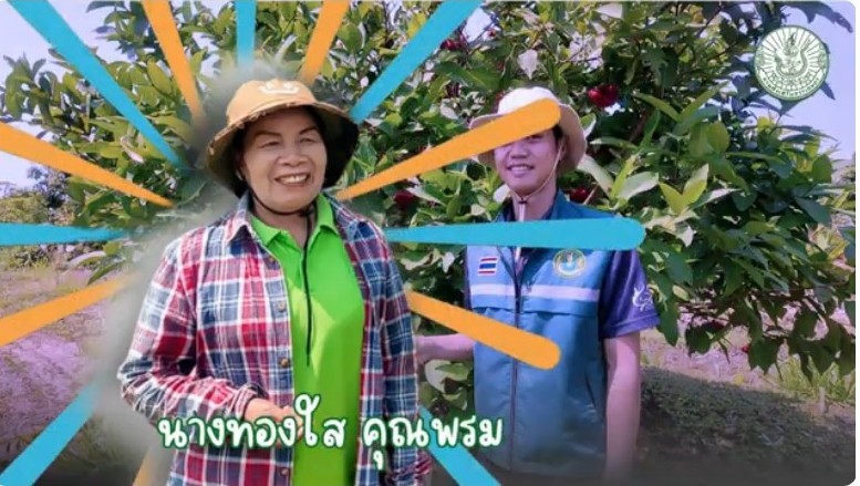 เกษตรยุคใหม่ปลูกพืชหลากหลายรายได้ไม่ธรรมดา