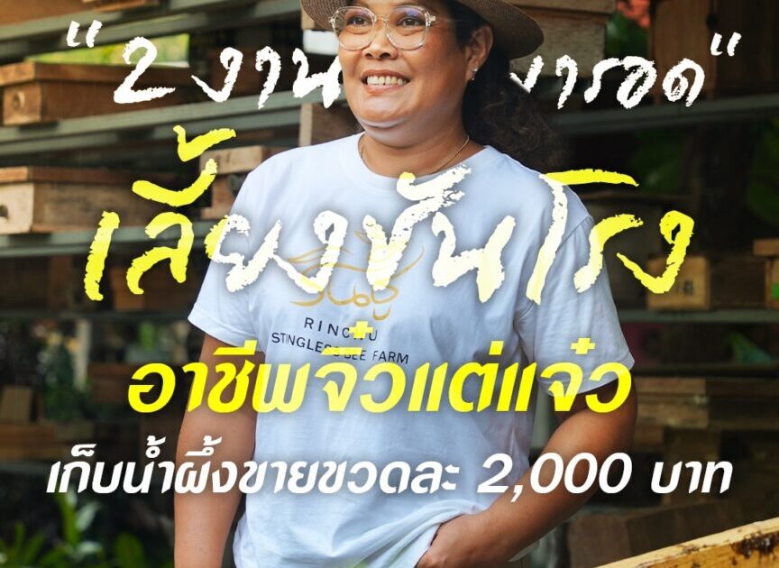 “2 งาน พารอด” เลี้ยงชันโรง อาชีพจิ๋วแต่แจ๋ว