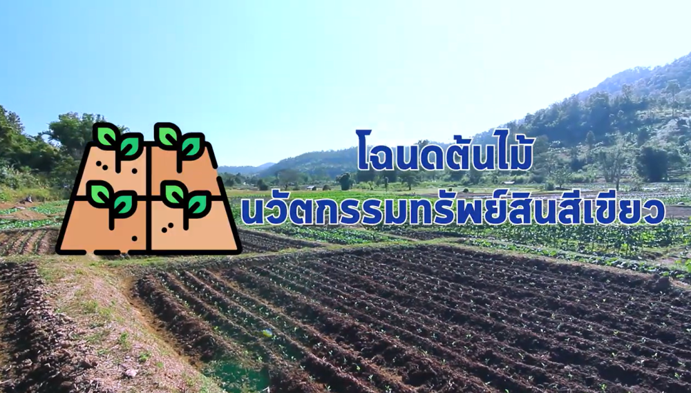 โฉนดต้นไม้นวัตกรรมทรัพย์สินสีเขียว