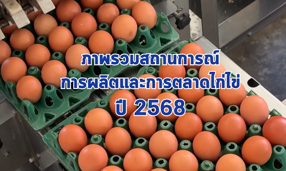 ภาพรวมสถานการณ์การผลิตและการตลาดไข่ไก่ ปี 2568