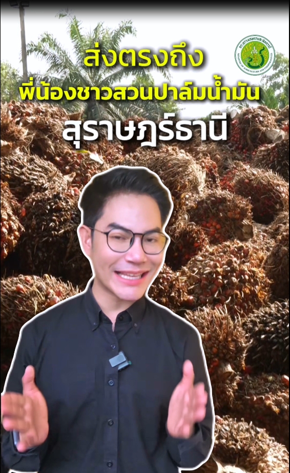 ตอนที่2ส่งตรงถึงพี่น้องชาวสวนปาล์มน้ำมันสุราษฎร์ธานี