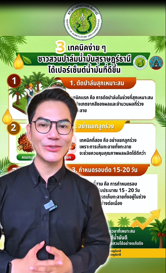 ตอนที่ 3 3เทคนิค เพิ่มเปอร์เซ็นต์ น้ำมันปาล์ม