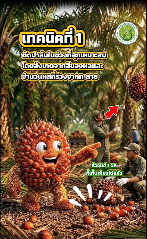 ตอนที่ 4 3เทคนิคง่ายๆ เพิ่มเปอร์เซ็นต์  น้ำมันปาล์ม