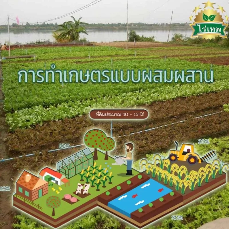 ใช้พื้นที่3ไร่ออกแบบง่ายๆทำได้อย่างสวย