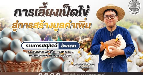 การเลี้ยงเป็ดไข่สู่การสร้างมูลค่าเพิ่ม