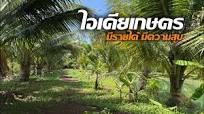 ไอเดียเกษตร มีรายได้มีความสุข