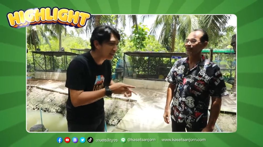 เกษตรผสมผสาน แค่ 1 ไร่ สร้างรายได้ปีละ 2 แสน | เกษตรสัญจร