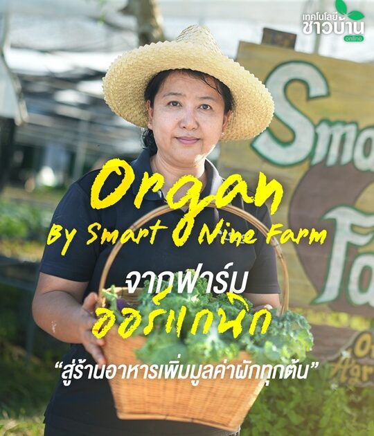 “OrganbySmartNineFarm”จากฟาร์มออร์แกนิก