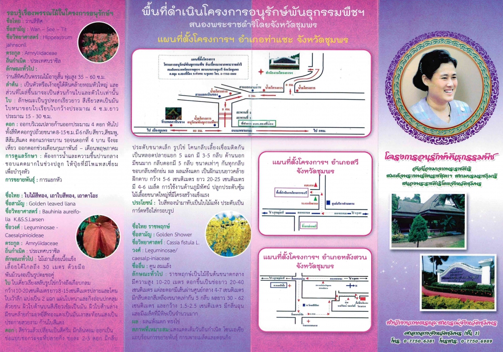 แผ่นพับโครงการอนุรักษ์พันธุกรรมพืช ฯ จังหวัดชุมพร