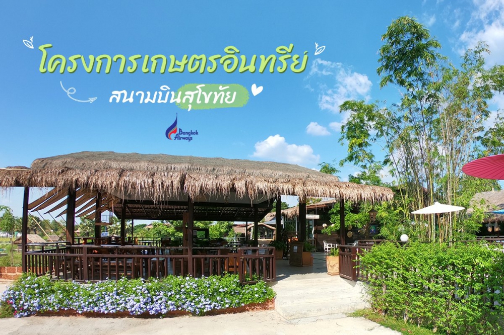 ข้อมูล “เกษตรอินทรีย์วิถีสุโขทัย”