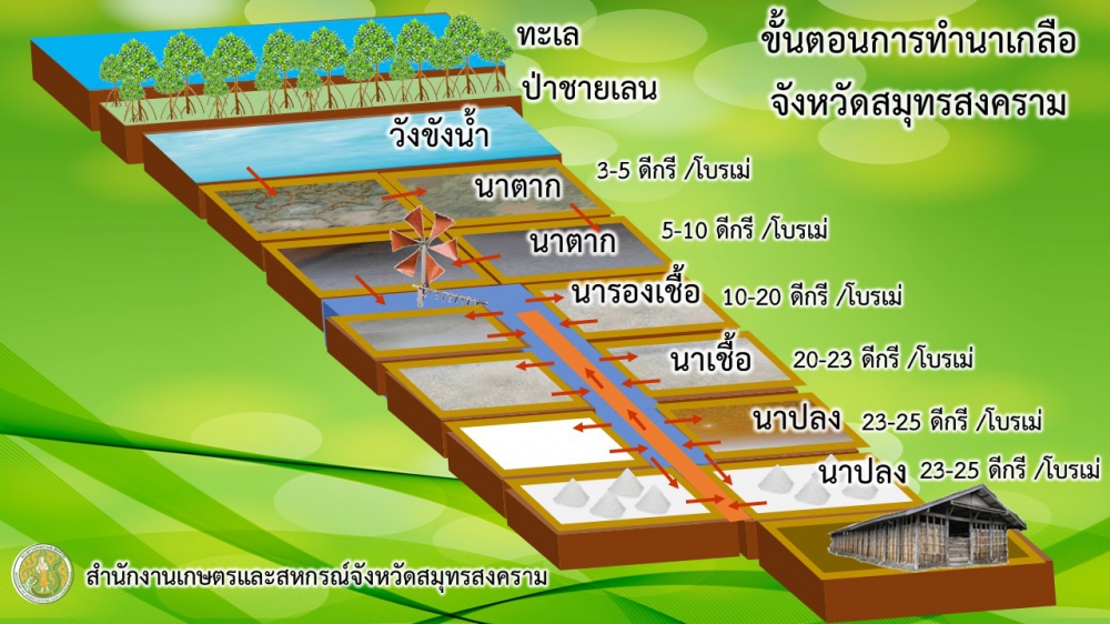 ประชาสัมพันธ์แผนผังขั้นตอนการทำนาเกลือจังหวัดสมุทรสงคราม