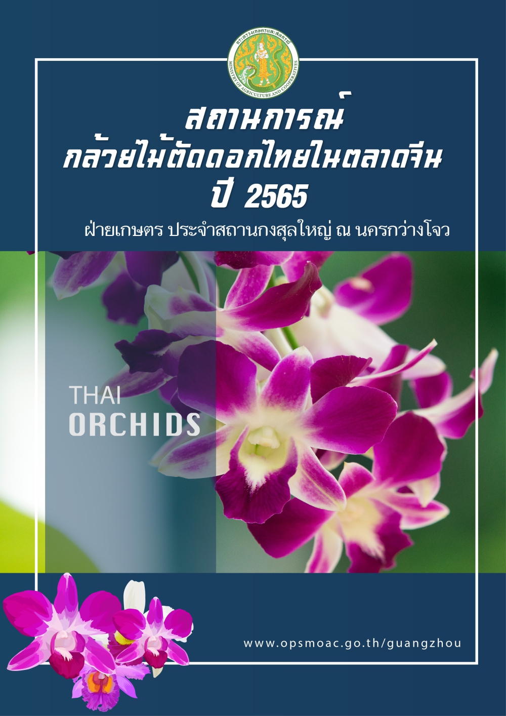 สถานการณ์กล้วยไม้ตัดดอกไทยในตลาดจีน ปี 2565