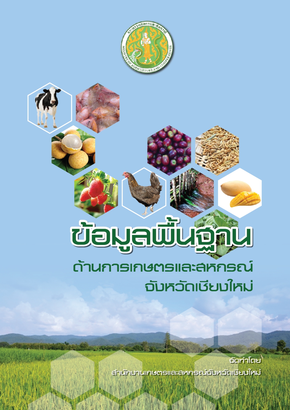 ข้อมูลพื้นฐานจังหวัดเชียงใหม่