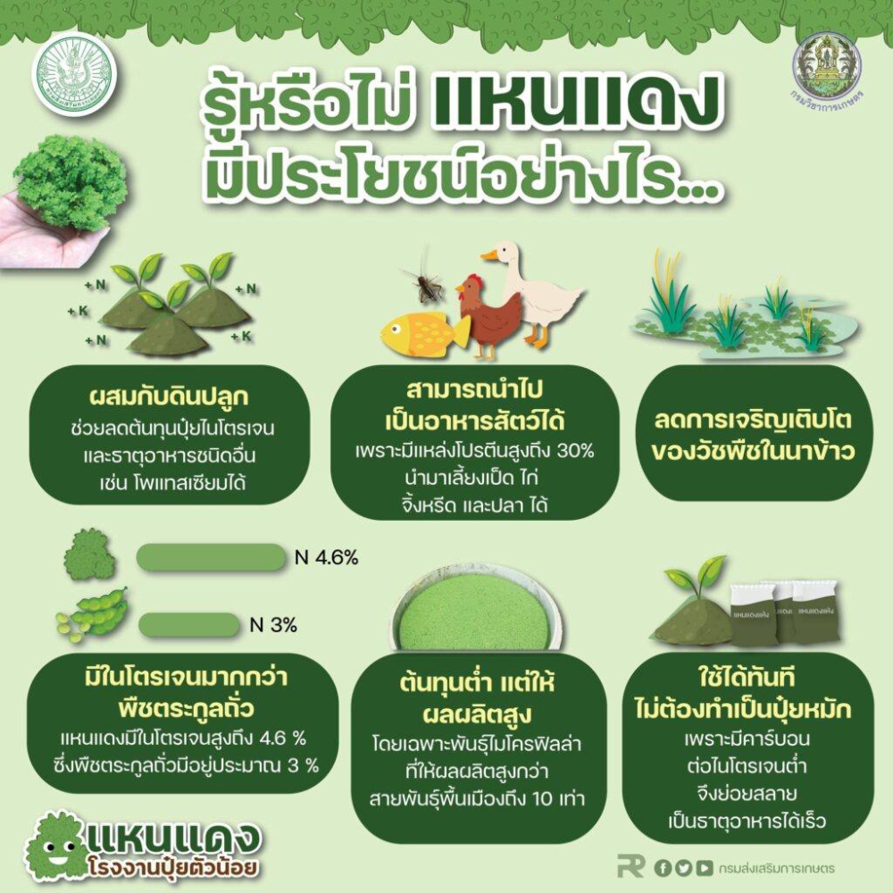 ประโยชน์ แหนแดง