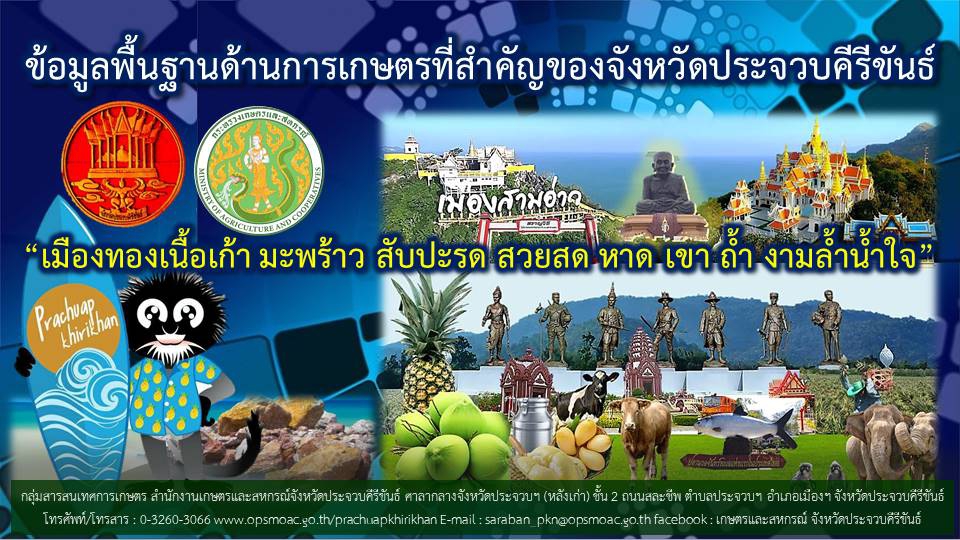 ข้อมูลพื้นฐานจังหวัดสนับสนุนการการลงพื้นที่ตรวจราชการติดตามงานตามนโยบายของรัฐมนตรีว่าการกระทรวงเกษตรและสหกรณ์