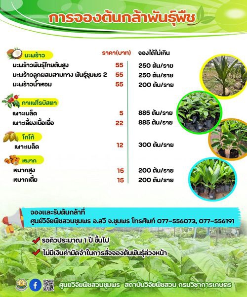 ราคาพันธุ์พืชศูนย์วิจัยพืชสวนชุมพร