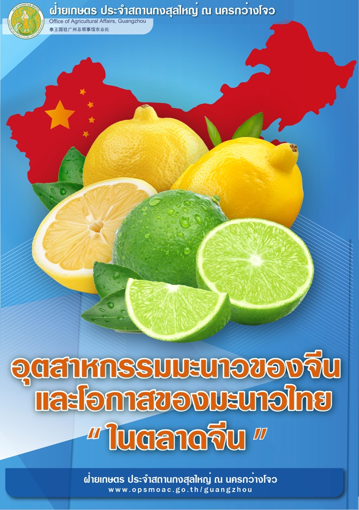 อุตสาหกรรมมะนาวของจีน และโอกาสของมะนาวไทยในตลาดจีน