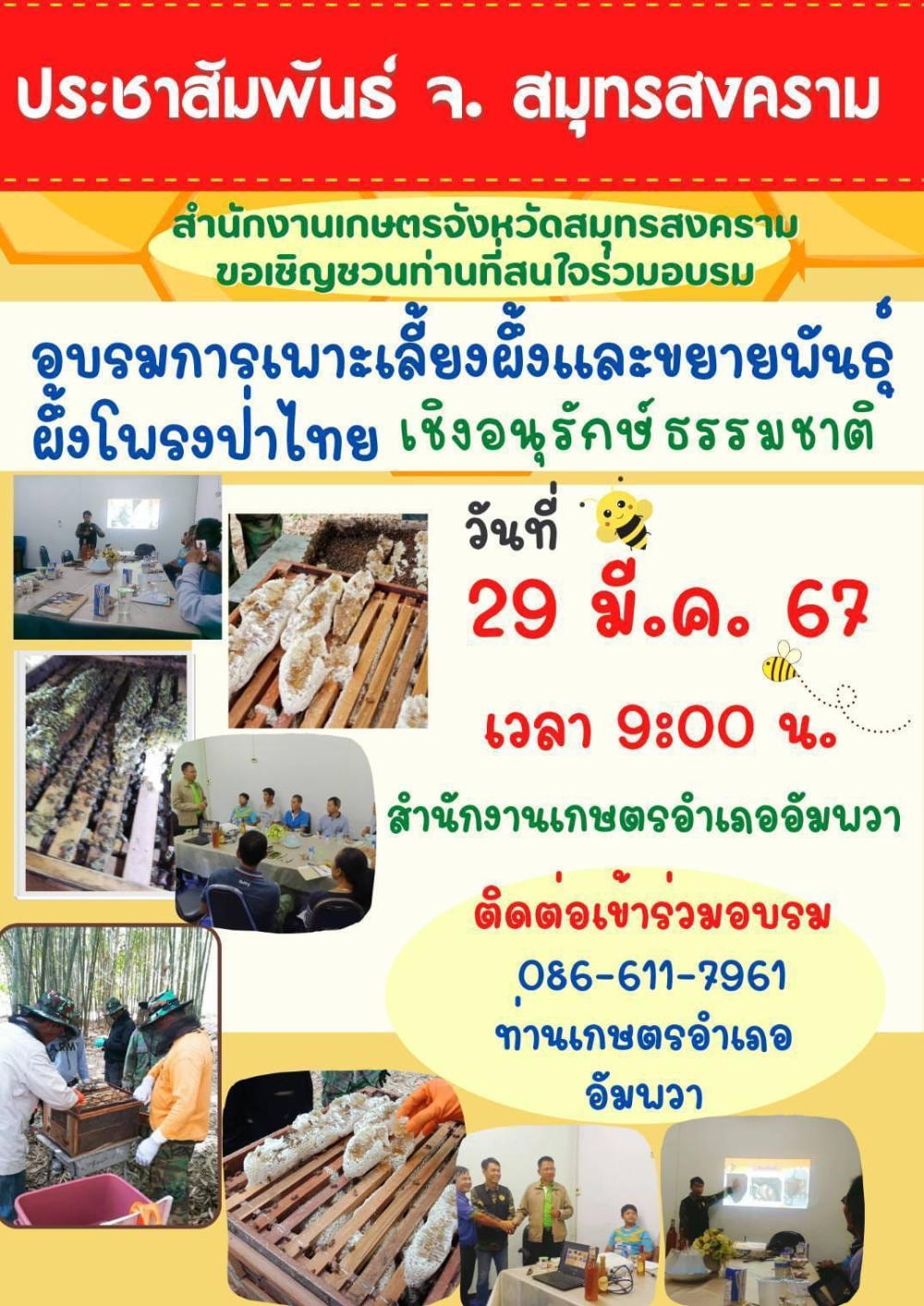 ประชาสัมพันธ์อบรมการเพาะเลี้ยงผึ้งและขยายพันธุ์ผึ้งโพรงป่าไทย