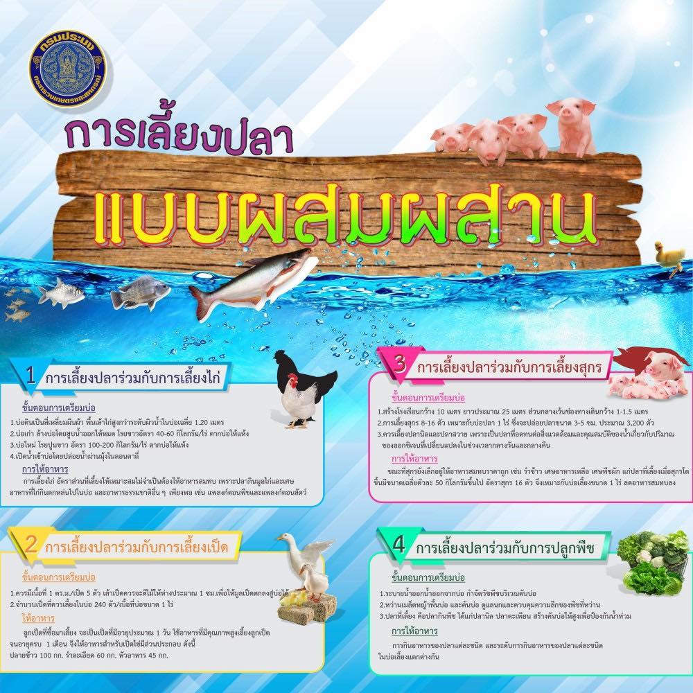 การเลี้ยงปลาแบบผสมผสาน