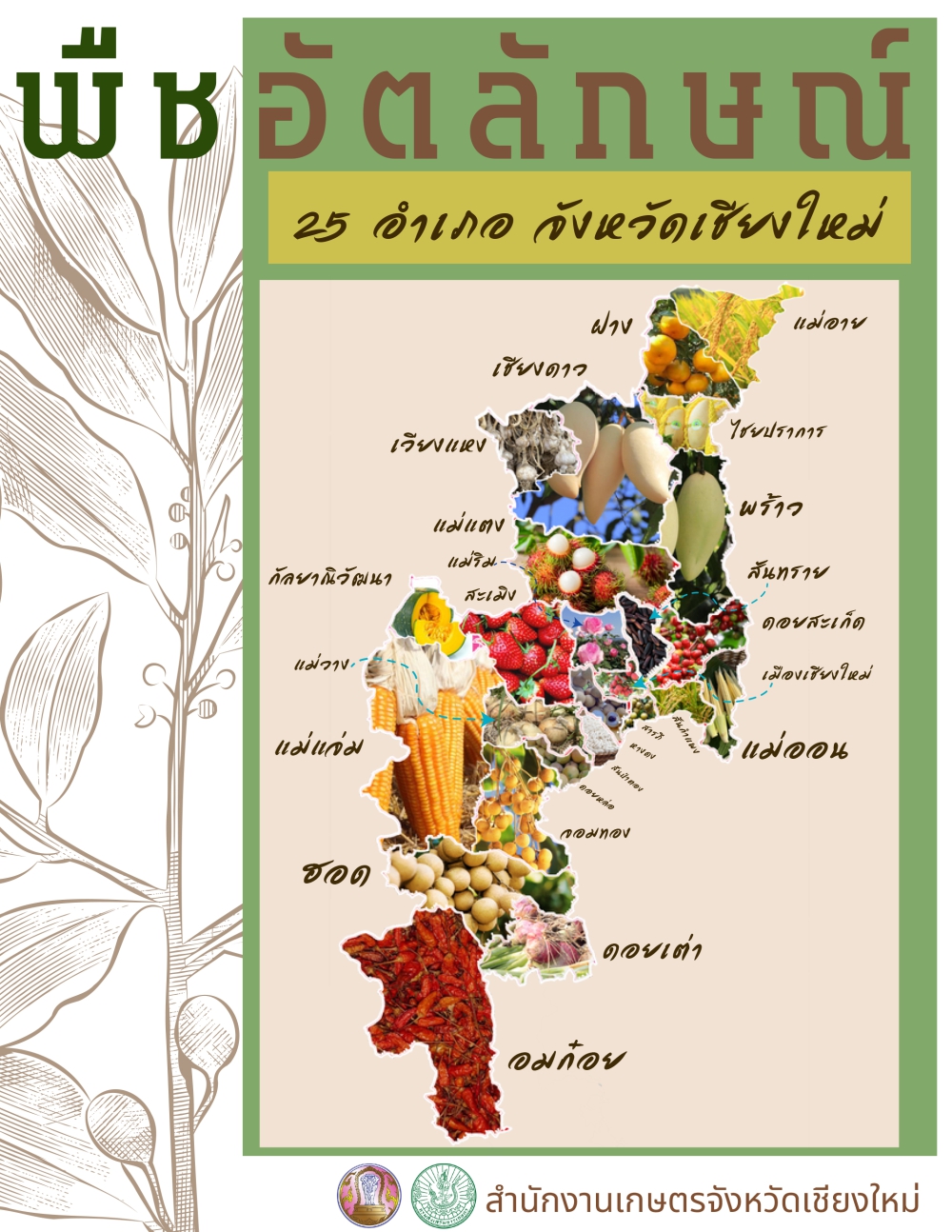 พืชผลอัตลักษณ์ 25 อำเภอจังหวัดเชียงใหม่