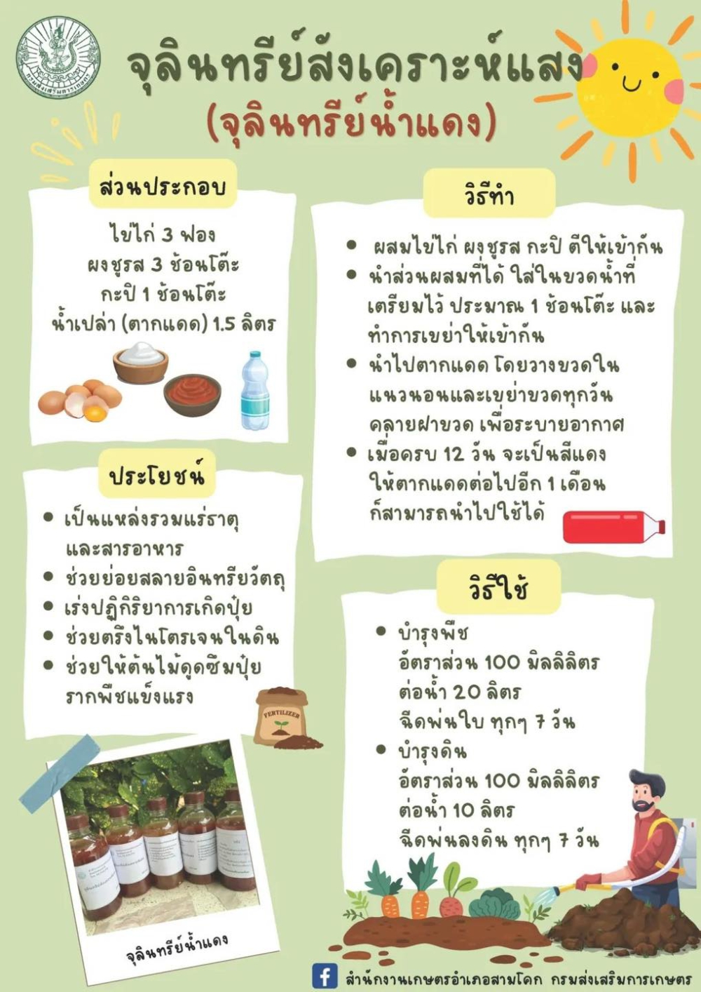 จุลินทรีย์สังเคราะห์แสง (จุลินทรีย์น้ำแดง)