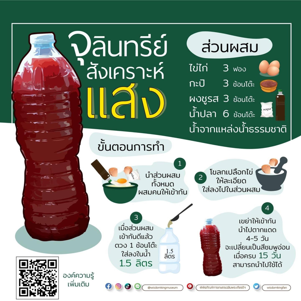 ขั้นตอนการทำ จุลินทรีย์สังเคราะห์แสง