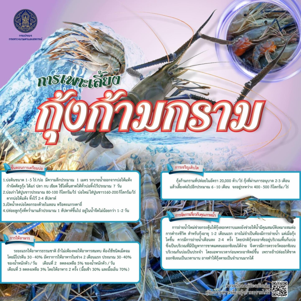 การเพาะเลี้ยงกุ้งก้ามกราม
