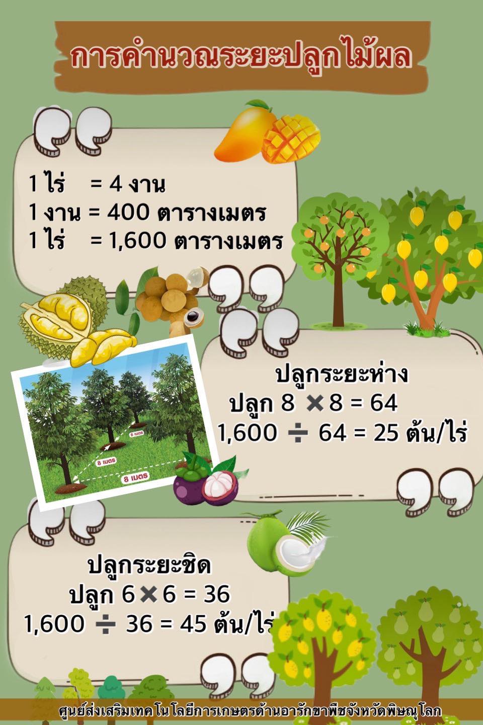 วิธีการคำนวณ ระยะปลูกไม้ผล ระยะต่าง ๆ