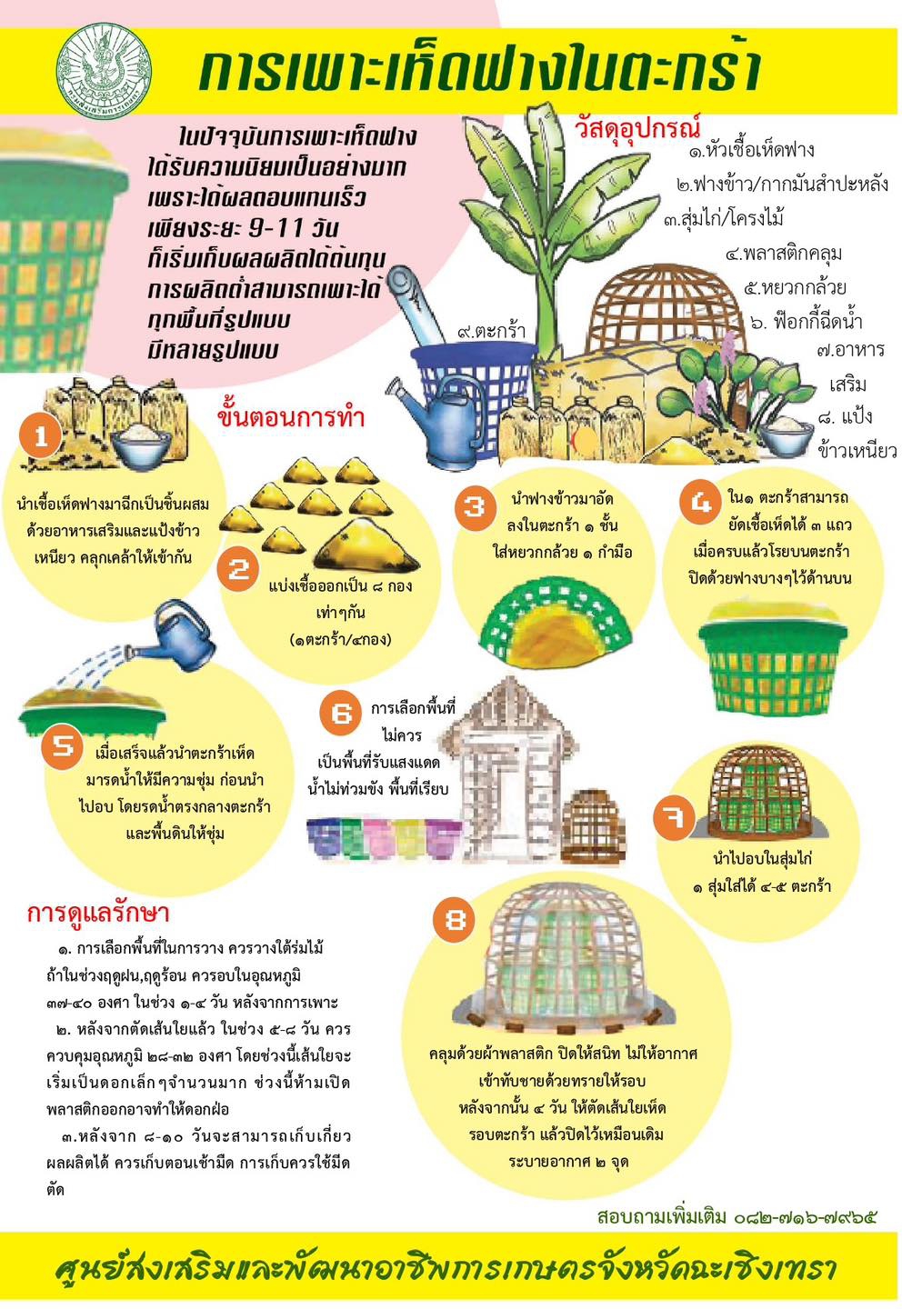 การเพาะเห็ดฟางในตระกร้า