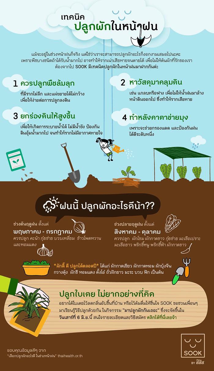เทคนิคการปลูกผักหน้าฝน