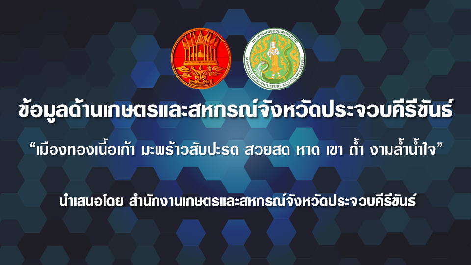 ข้อมูลพื้นฐานจังหวัดประจวบคีรีขันธ์